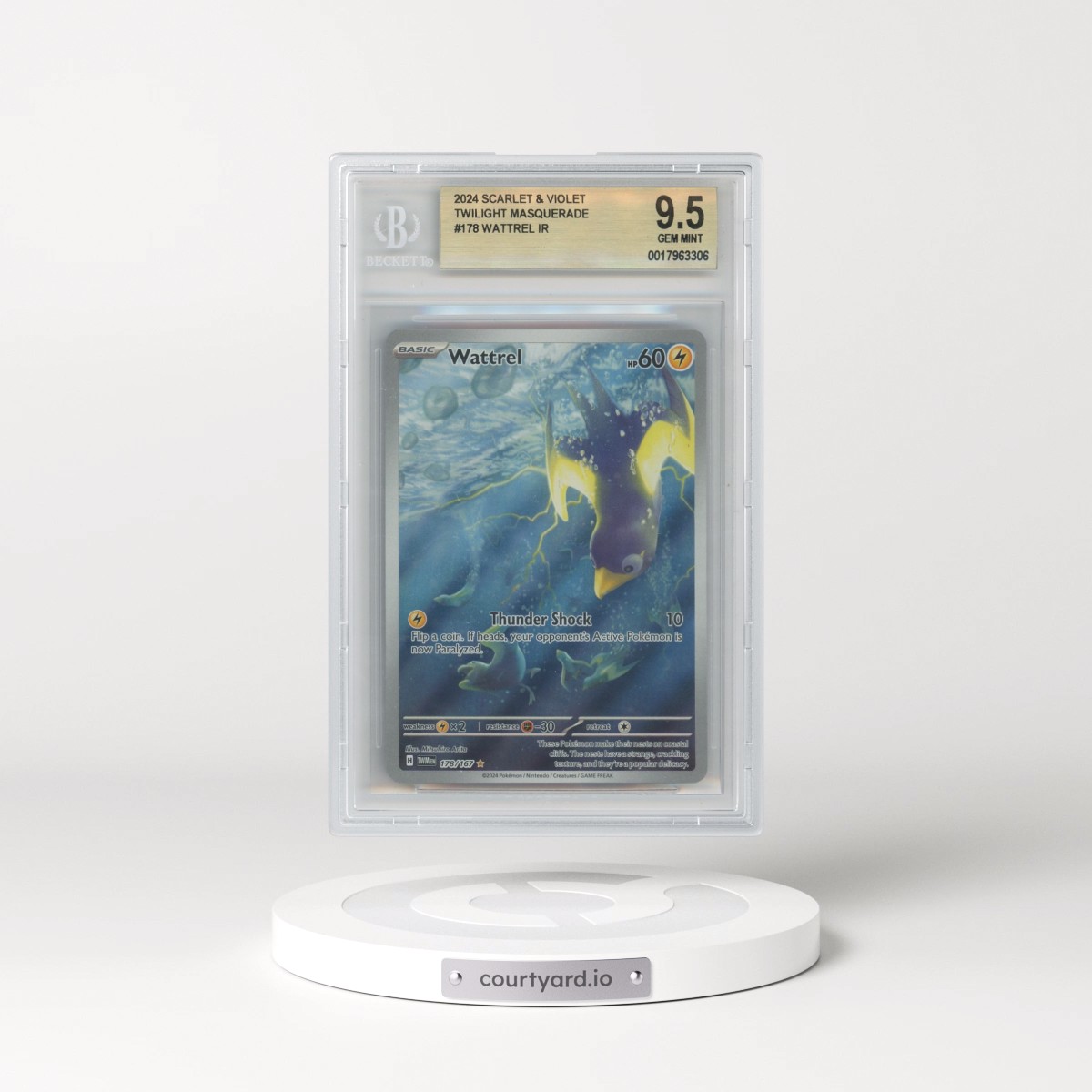 2024 Twilight Masquerade - TWM EN #178 Wattrel - Illustration Rare Holo (BGS 9.5 GEM MINT)