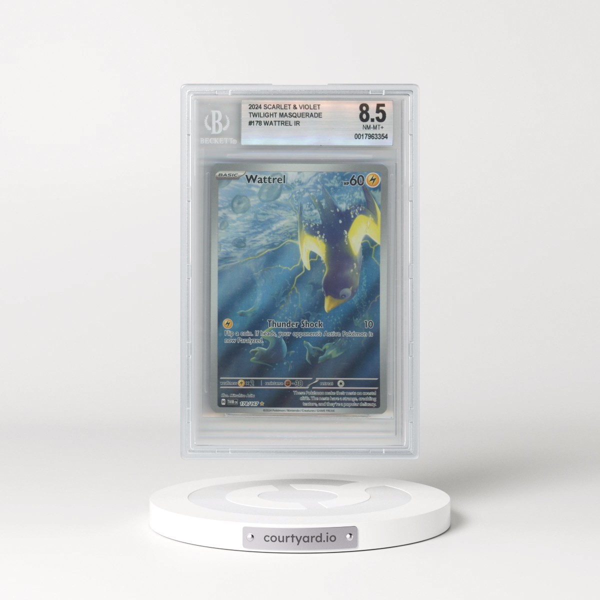 2024 Twilight Masquerade - TWM EN #178 Wattrel - Illustration Rare Holo (BGS 8.5 NM-MT+)