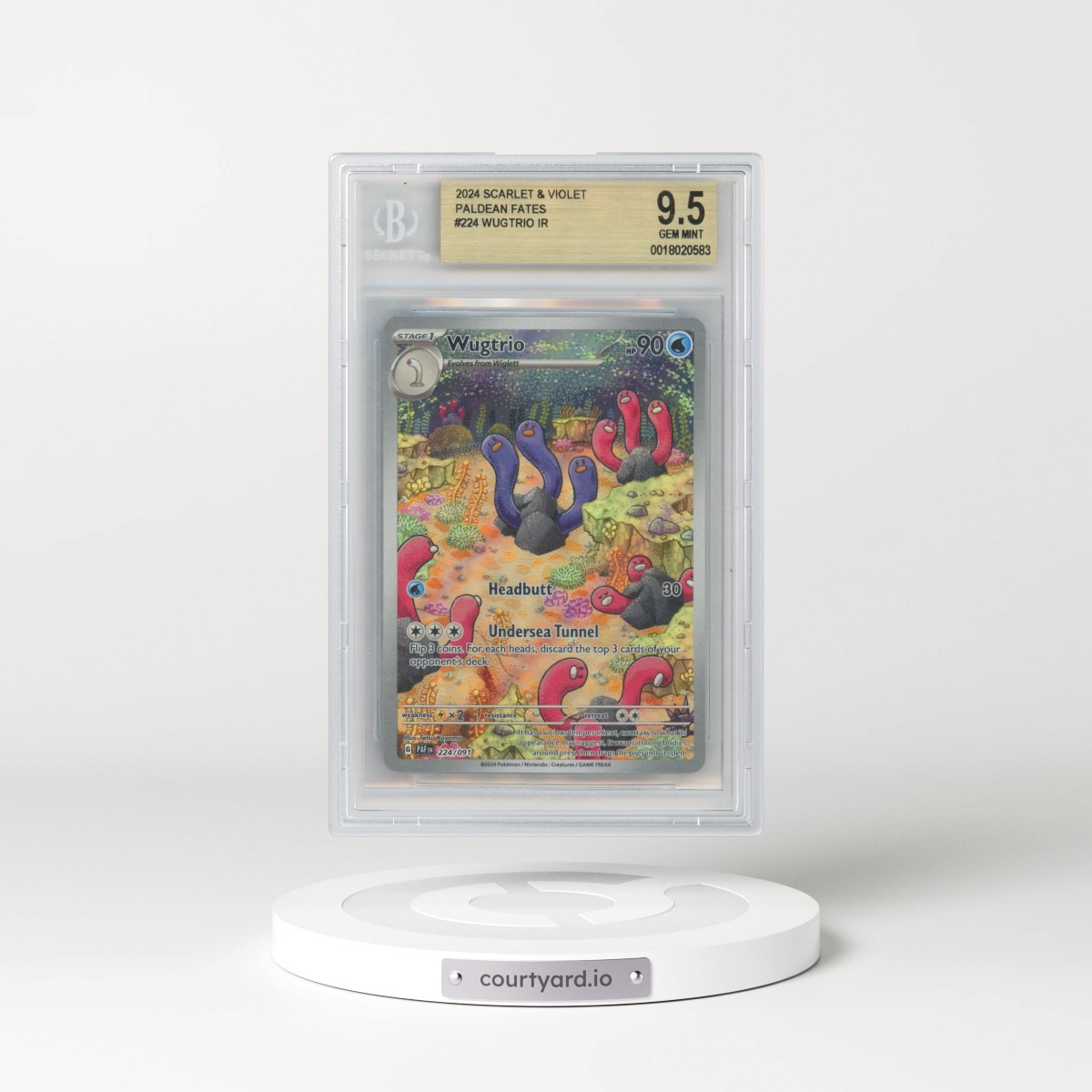 2024 Pokémon Paf EN-Paldean Fates #224 Wugtrio - Illustration Rare (BGS 9.5 GEM MINT)