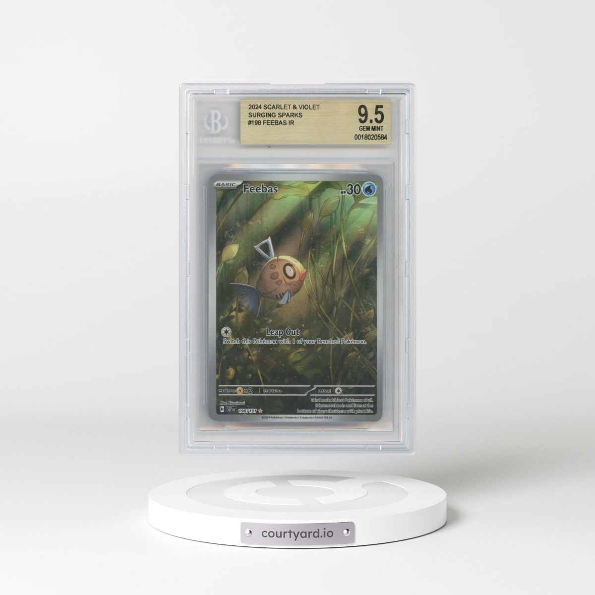 2024 Surging Sparks - SSP EN #198 Feebas - Illustration Rare Holo (BGS 9.5 GEM MINT)