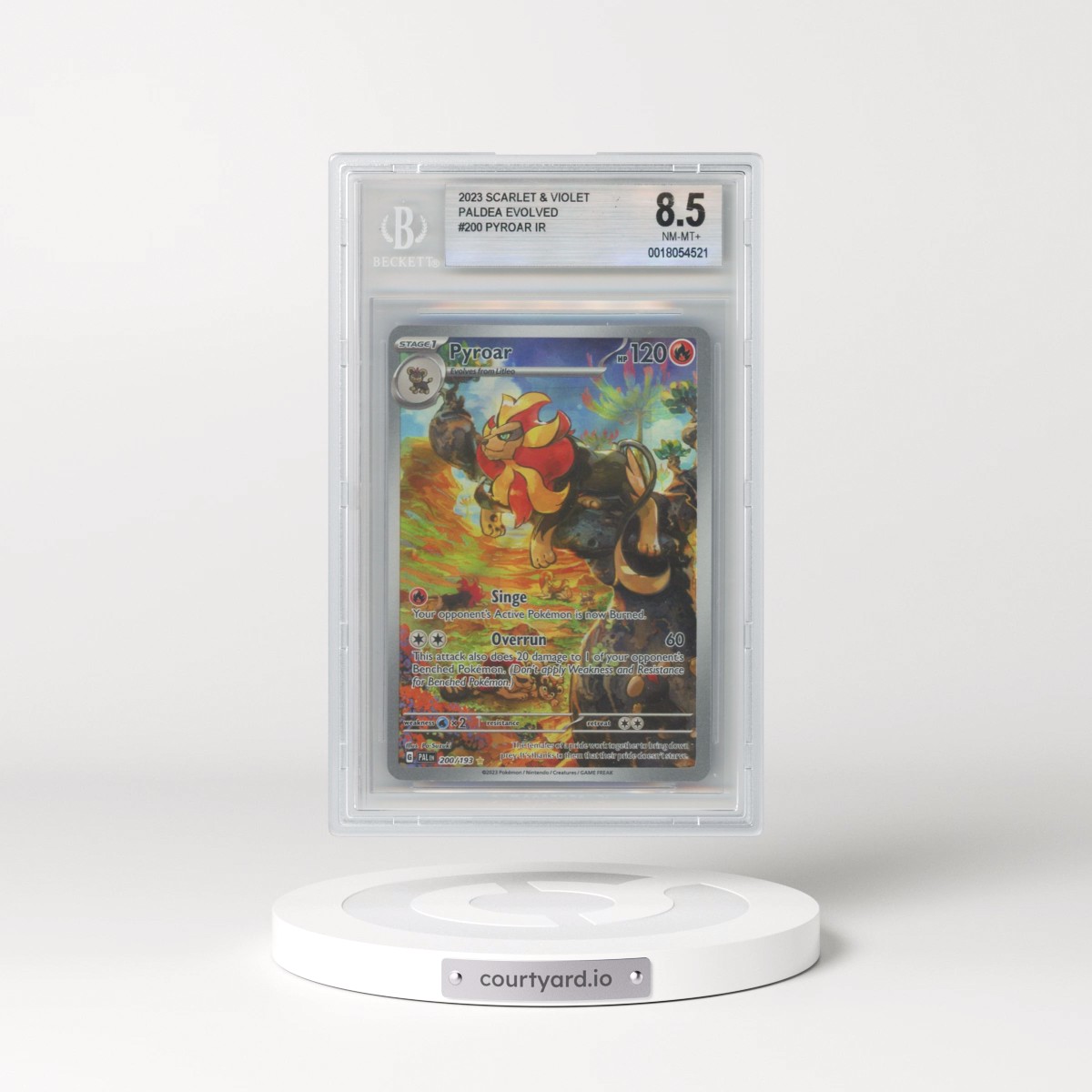 2023 Paldea Evolved - PAL EN #200 Pyroar - Illustration Rare (BGS 8.5 NM-MT+)