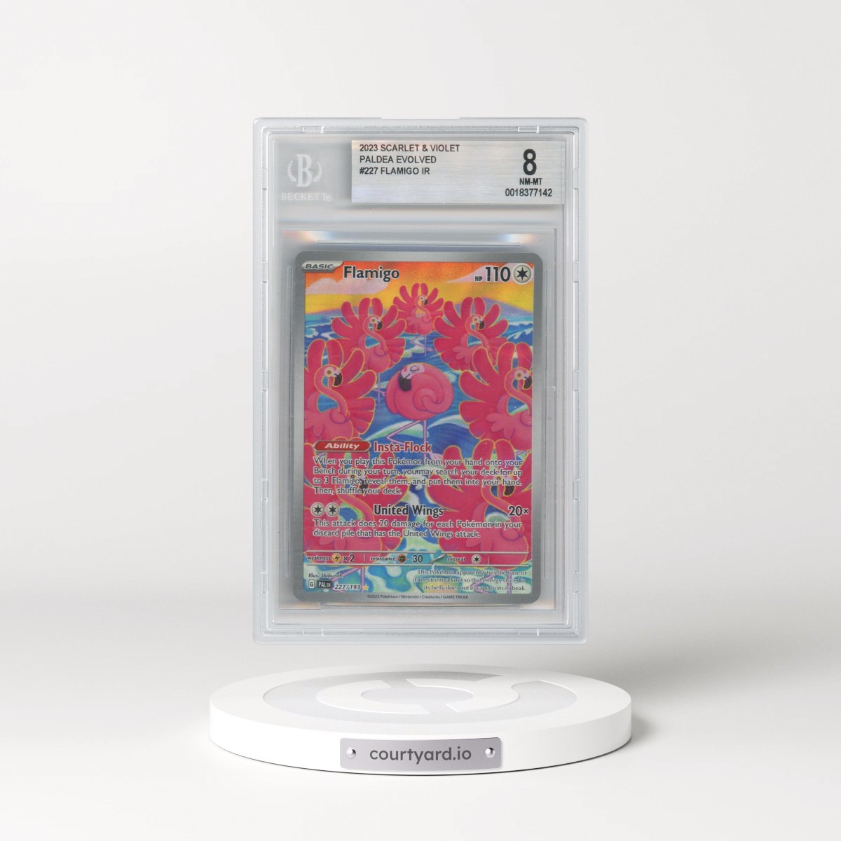 2023 Paldea Evolved - PAL EN #227 Flamigo - Illustration Rare Holo (BGS 8 NM-MT)