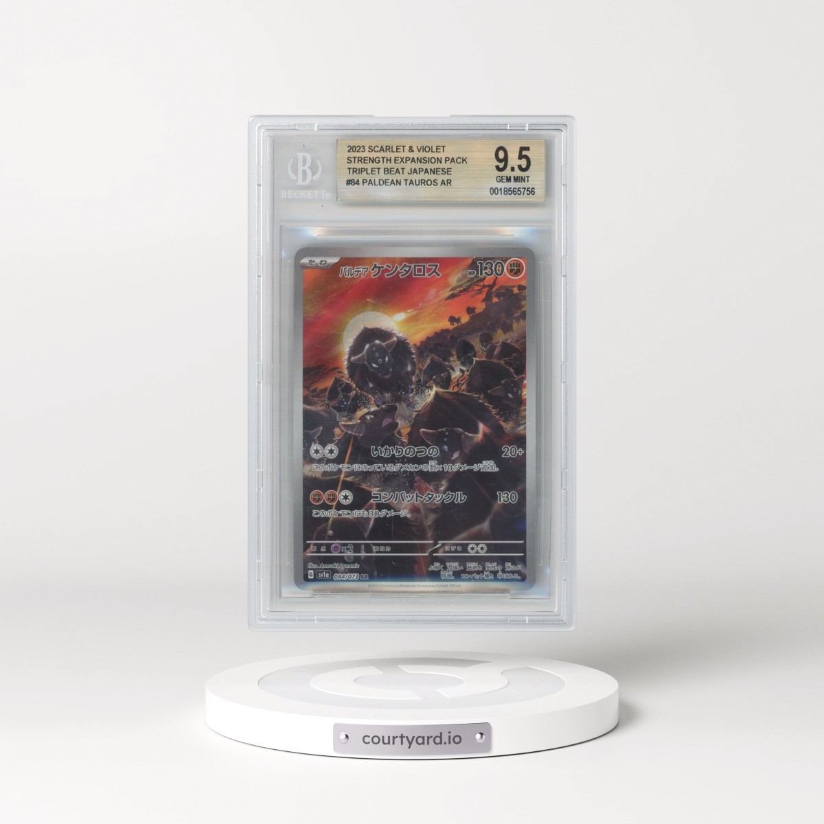 2023 Triplet Beat #084 Paldean Tauros - Art Rare Holo (BGS 9.5 GEM MINT)