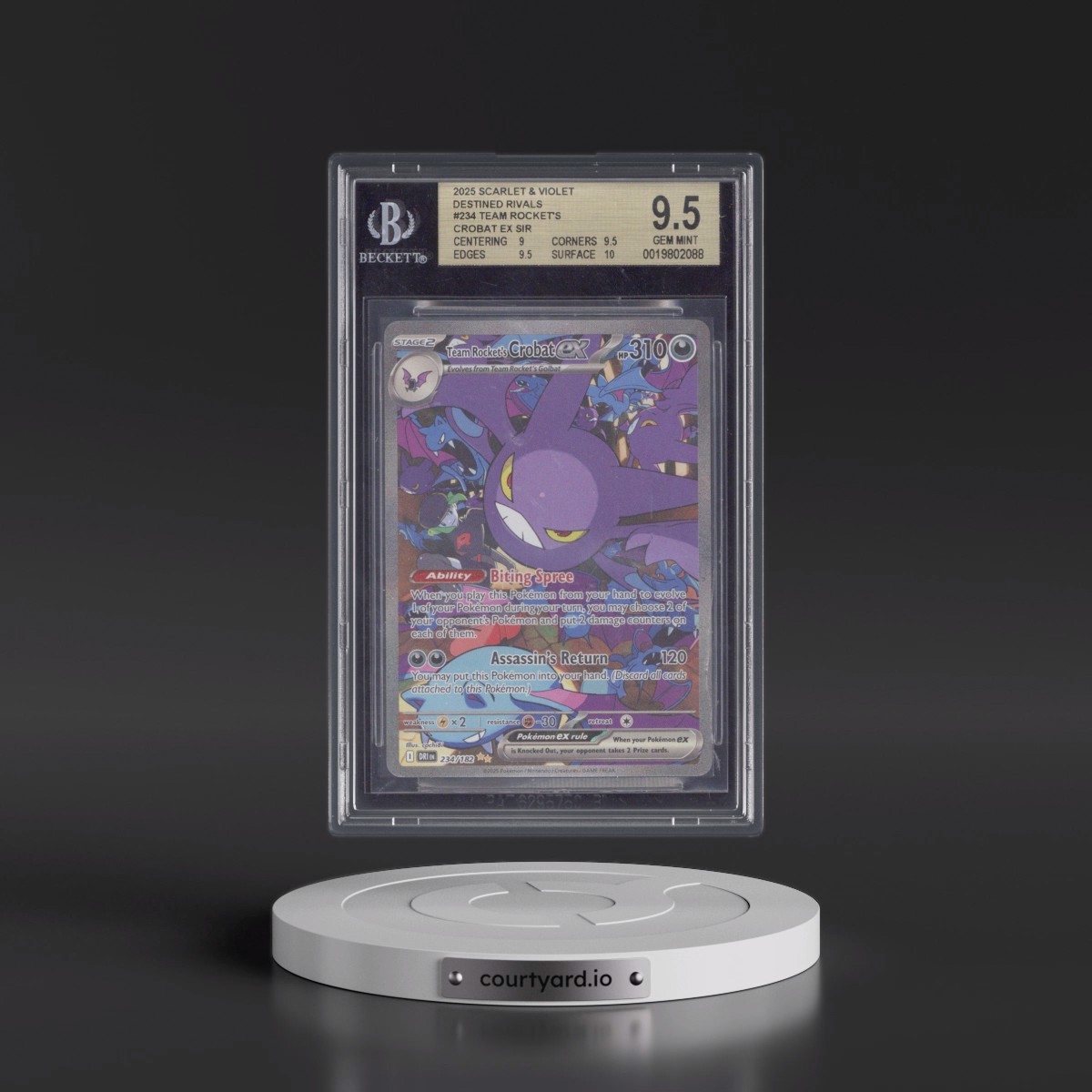 2025 Destined Rivals - DRI EN Team Rocket's Crobat ex - Special Illustration Rare (Holo) #234 BGS 9.5
