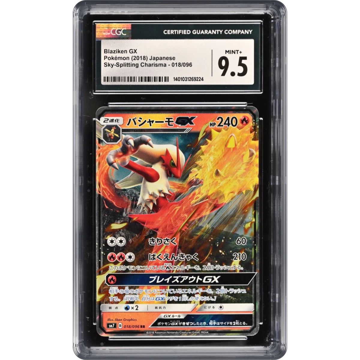 Pokmon Basic Pack | Courtyard.io Pokmon Basic Pack | Courtyard.io