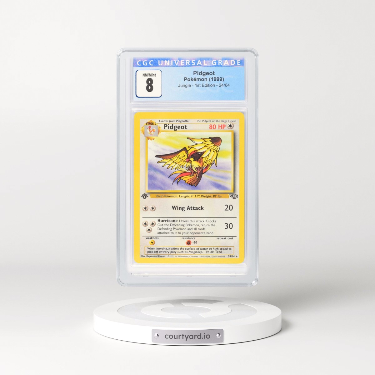 1999 pidgeot pokemon card Pokemon Pidgeat- Jungle Holo 1999