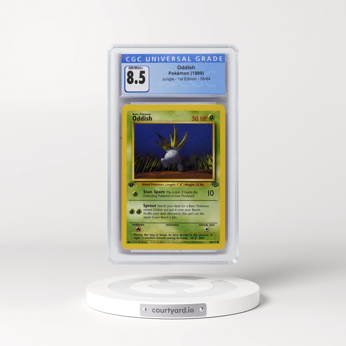 1999 Jungle #58/64 Oddish - 1st Edition 1st Edition (CGC 8.5 NM-MT+)