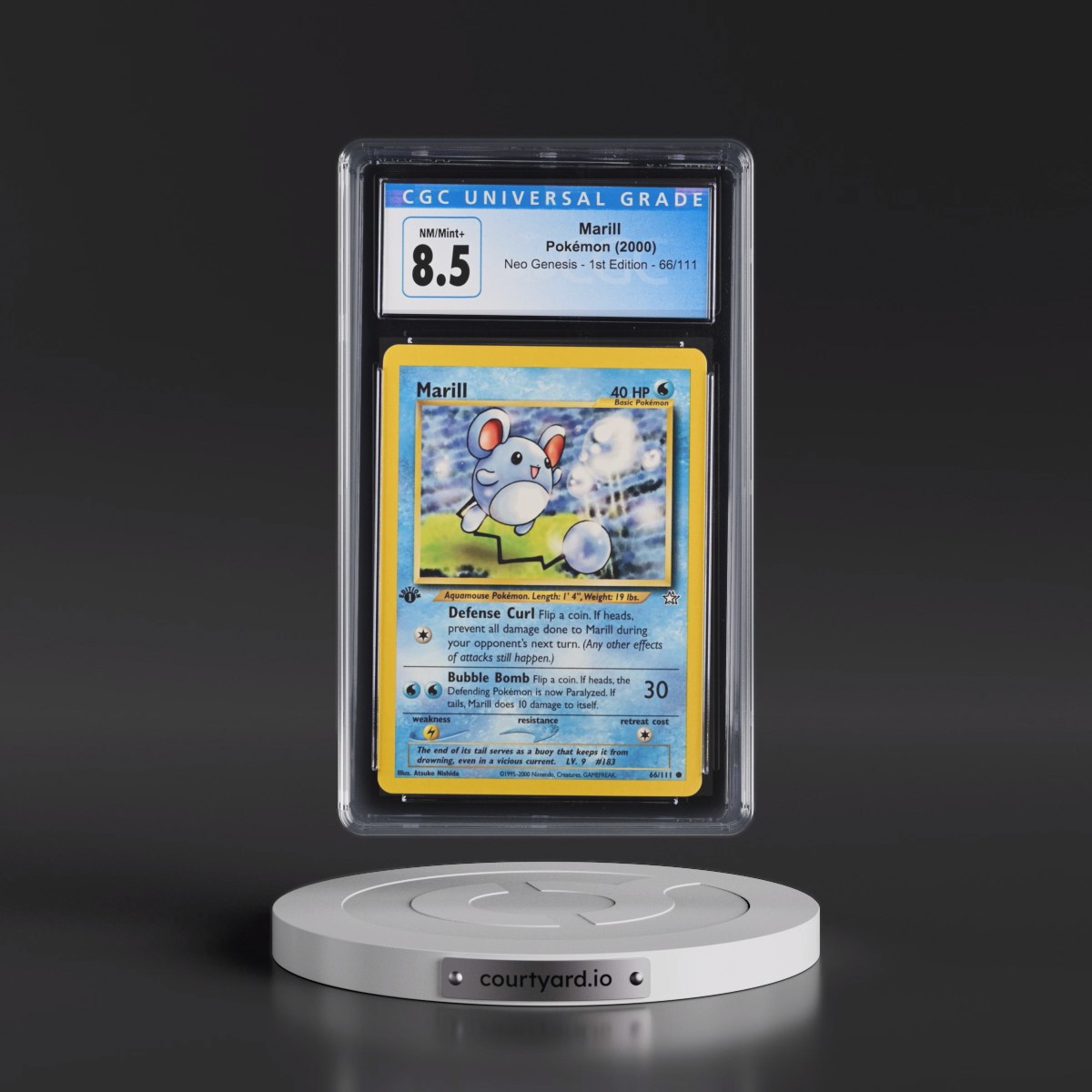 2000 Neo Genesis #66/111 Marill - 1st Edition (CGC 8.5 NM-MT+)