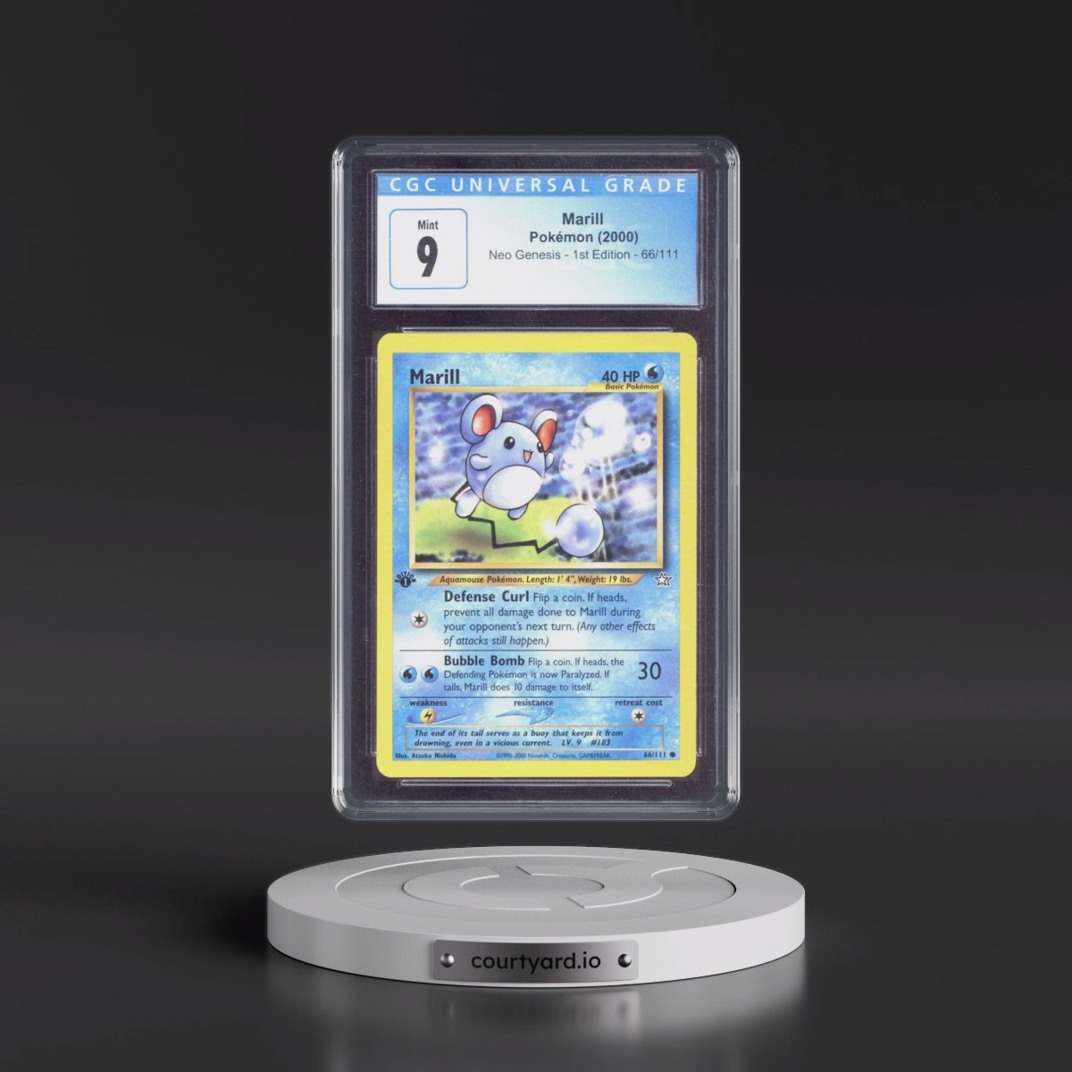 2000 Neo Genesis #66/111 Marill - 1st Edition (CGC 9 MINT)