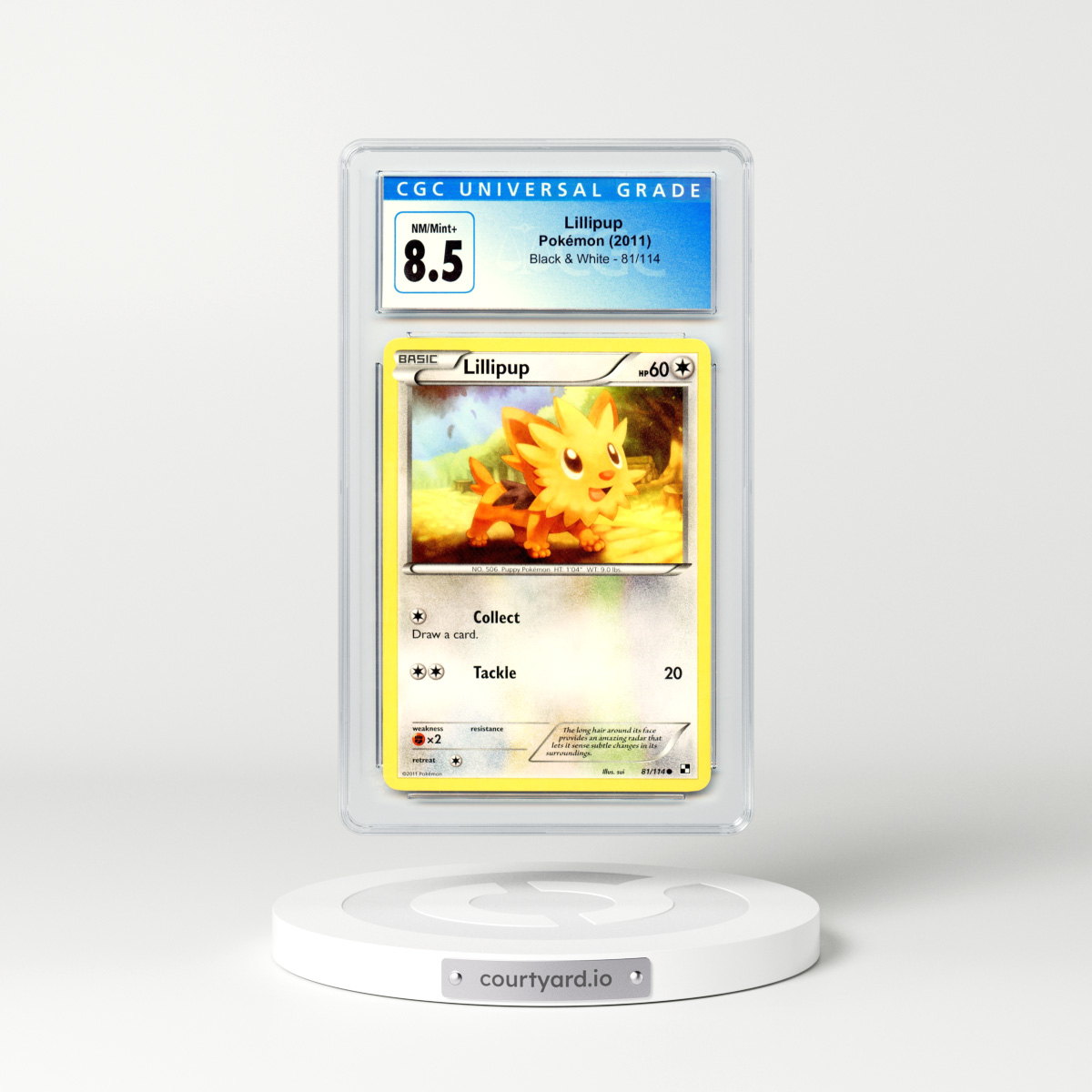 2011 Black & White #81 Lillipup (CGC 8.5 NM-MT+)