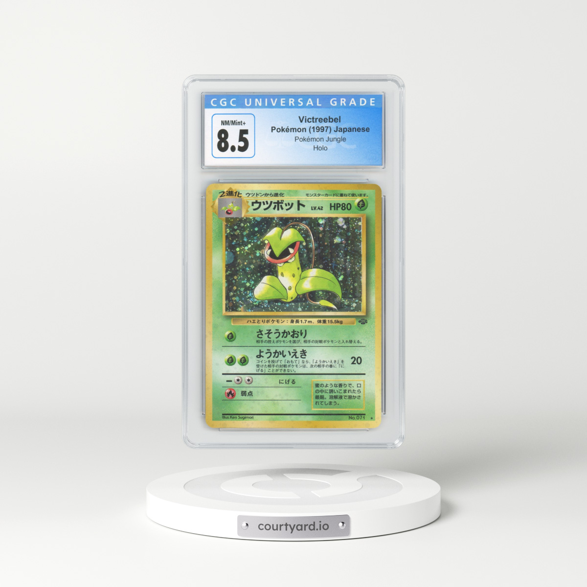 1997 Japanese Jungle #71 Victreebel - Holo (CGC 8.5 NM-MT+)