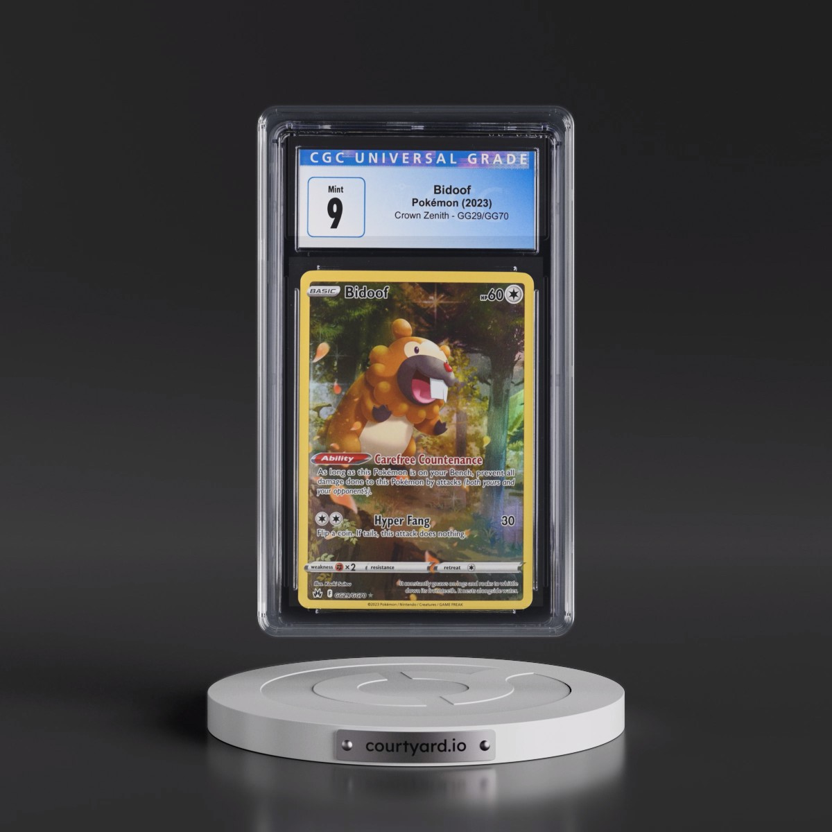 2023 Crown Zenith #GG29/GG70 Bidoof - Galarian Gallery Holo (CGC 9 MINT)