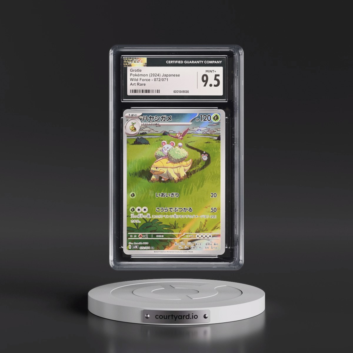 2024 Pokémon Sv5k-Wild Force #072 Grotle - Art Rare (CGC 9.5 MINT+)