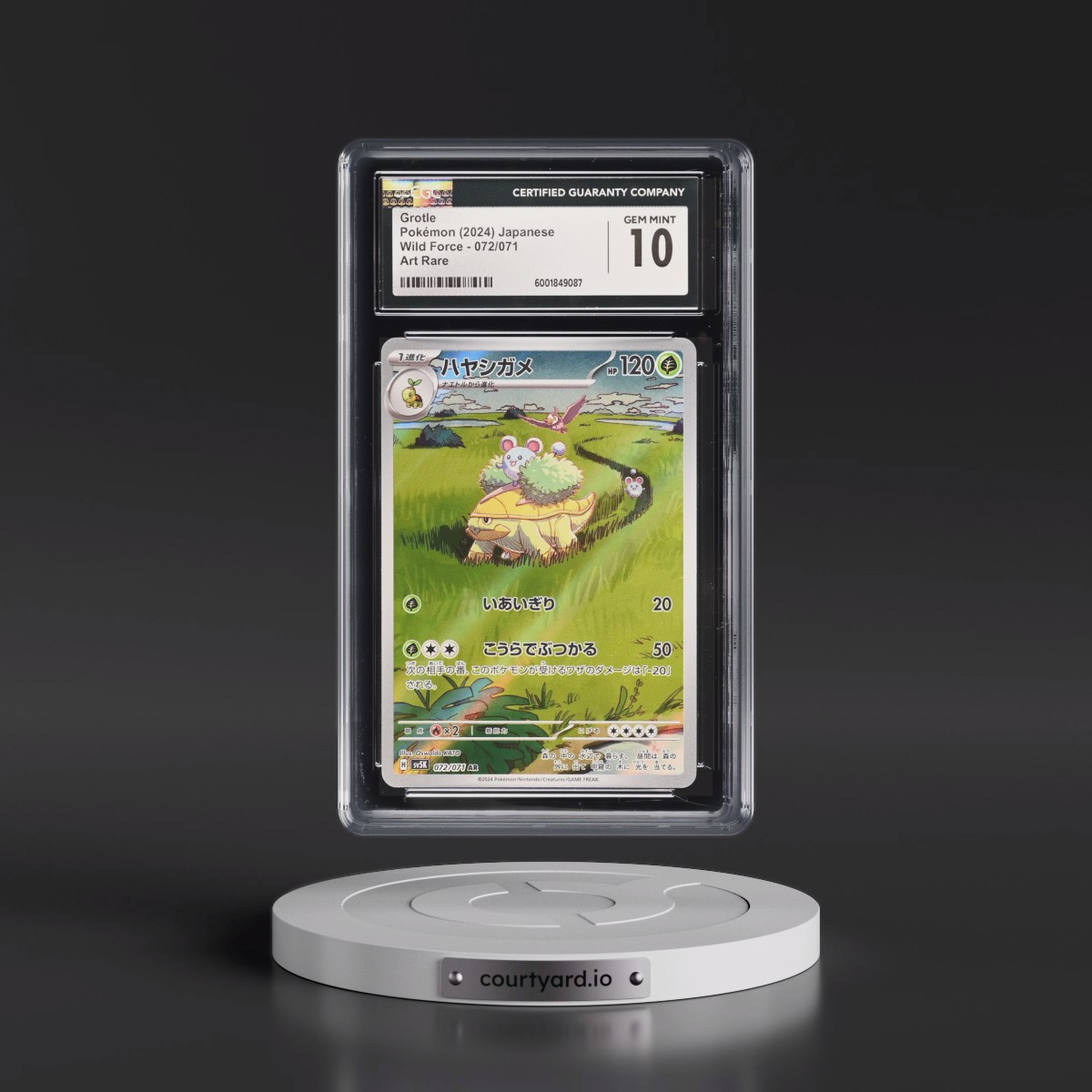 2024 Pokémon Sv5k-Wild Force #072 Grotle - Art Rare (CGC 10 GEM MINT)