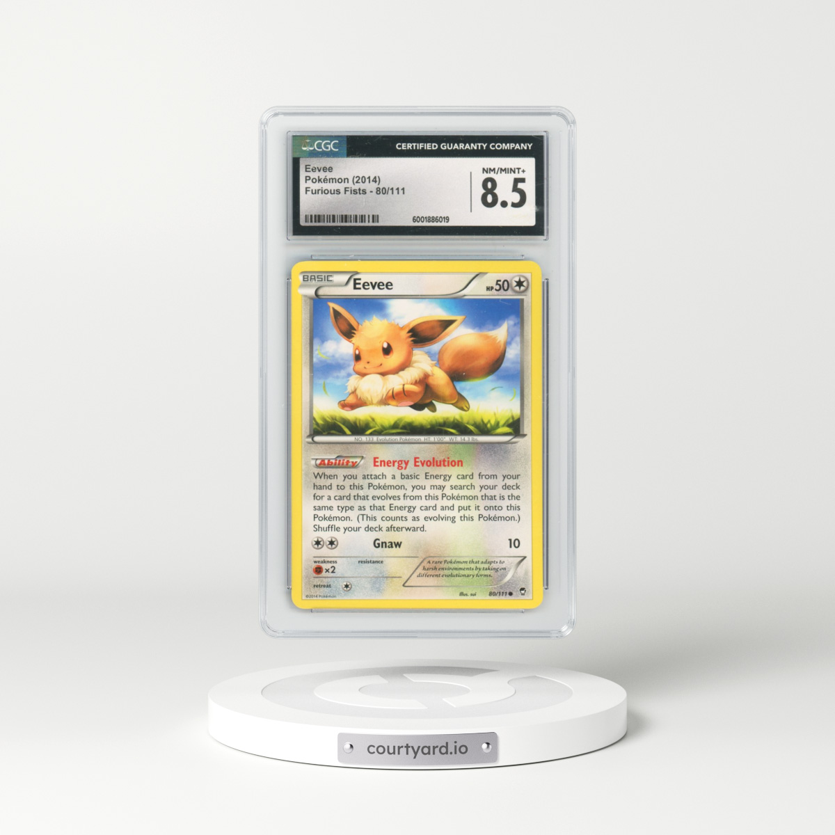 2014 Furious Fists #80/111 Eevee (CGC 8.5 NM-MT+)