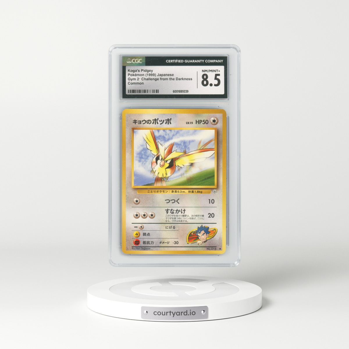 1999 Gym 2: Challenge from the Darkness #16 Koga's Pidgey - Common (CGC 8.5 NM-MT+)