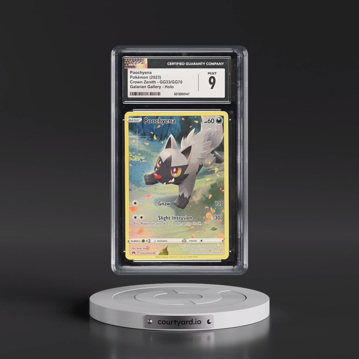 2023 Crown Zenith #GG33/GG70 Poochyena - Galarian Gallery Holo (CGC 9 MINT)