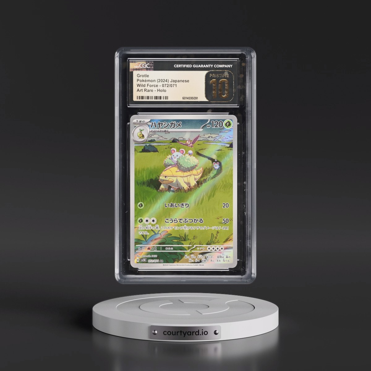 2024 Pokémon Sv5k-Wild Force #072 Grotle - Art Rare (CGC 10 PRISTINE)