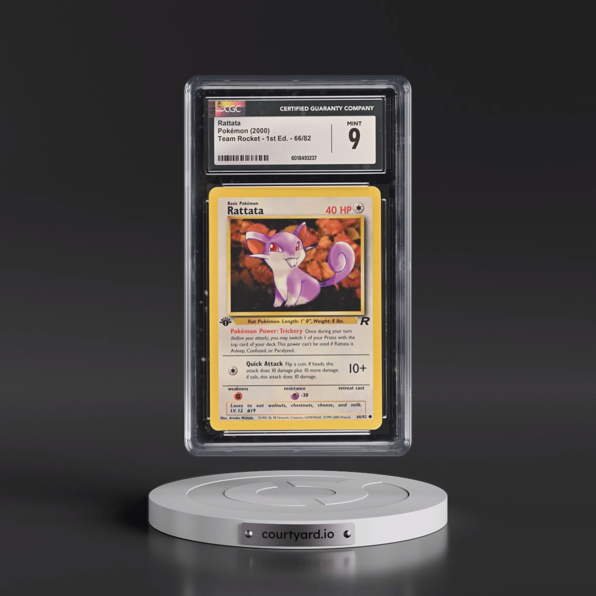 2000 Team Rocket #66/82 Rattata - 1st Edition 1st Edition (CGC 9 MINT)