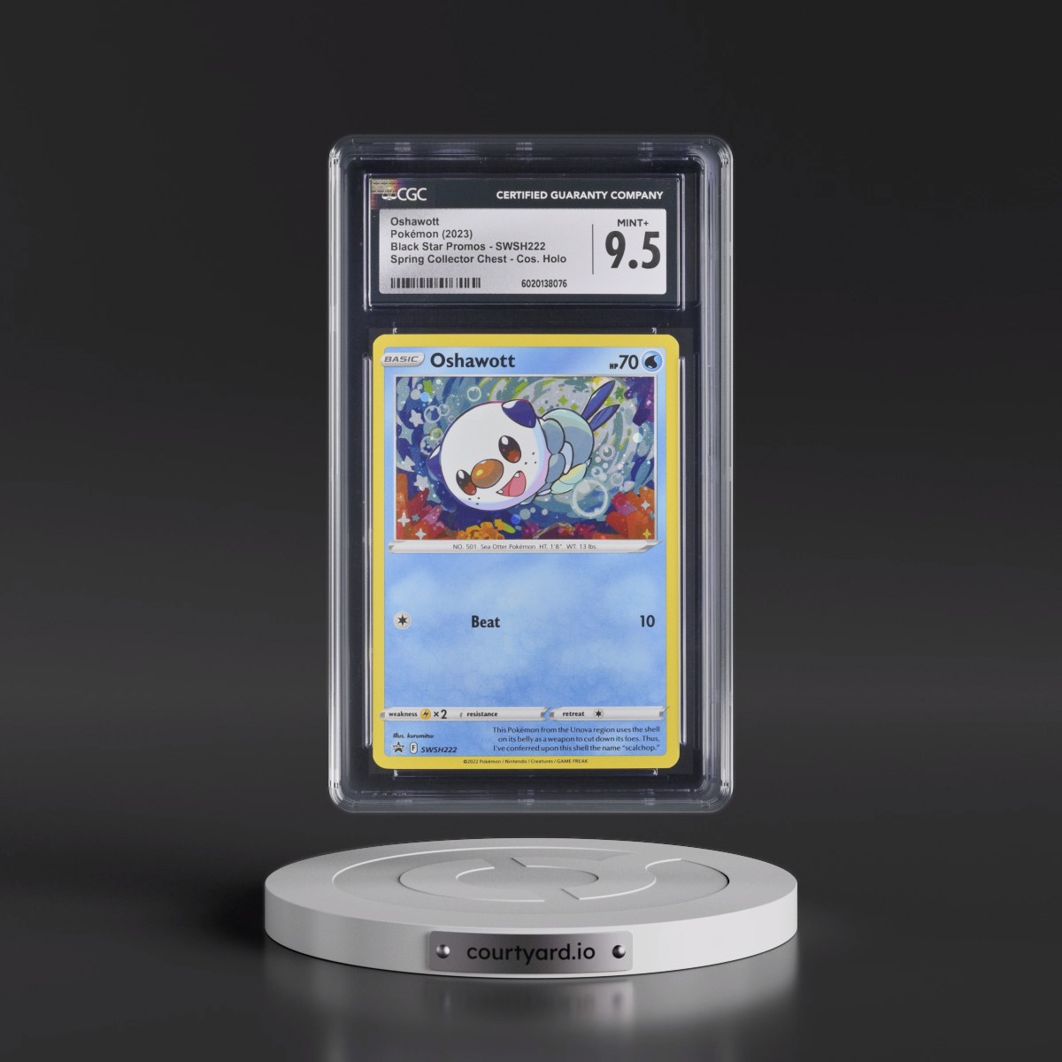 2017 Black Star Promos - Sword & Shield Oshawott - Spring Collector Chest (Cosmos Holo) #SWSH222 CGC 9.5