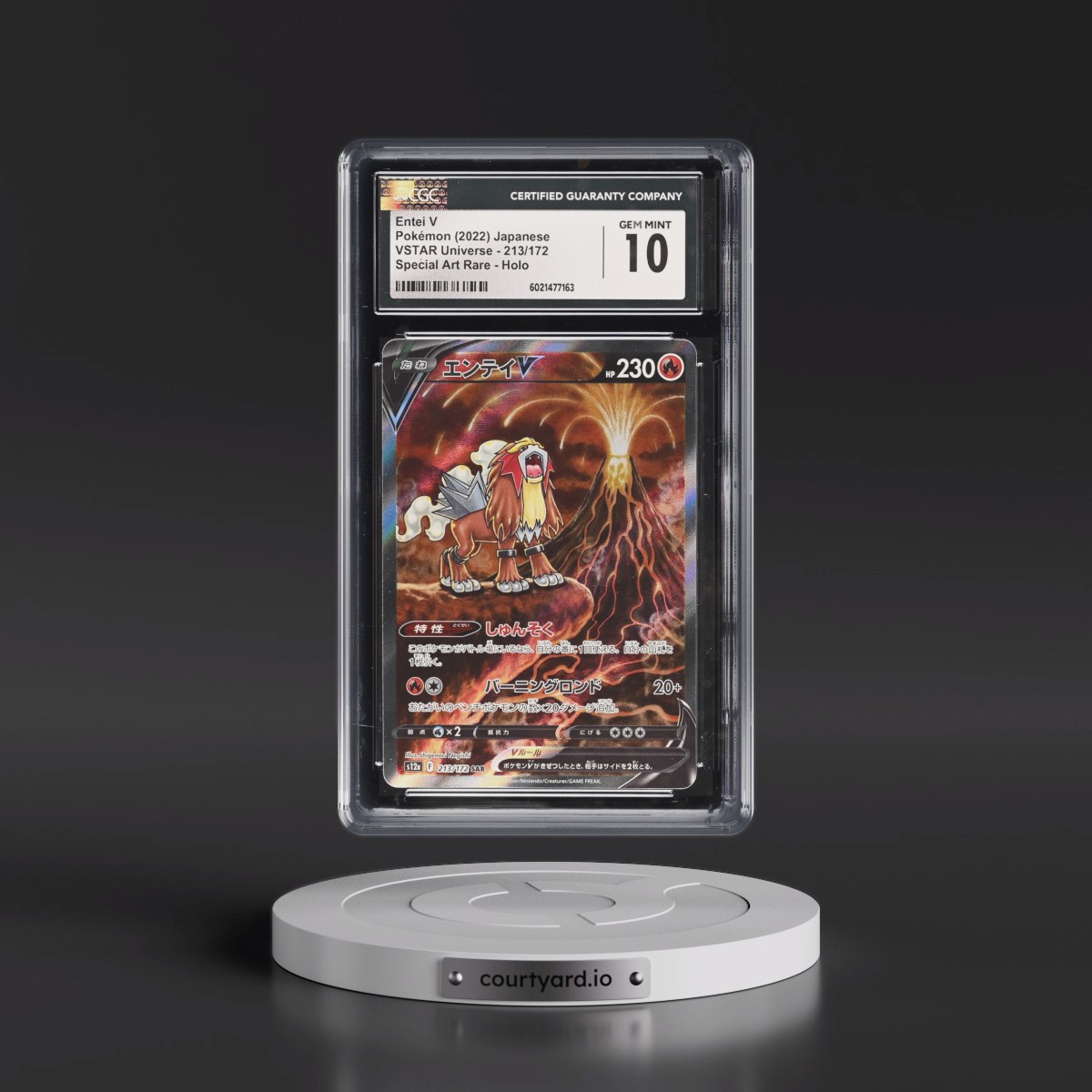 2022 VSTAR Universe #213/172 Entei V - Special Art Rare Holo (CGC 10 GEM MINT)