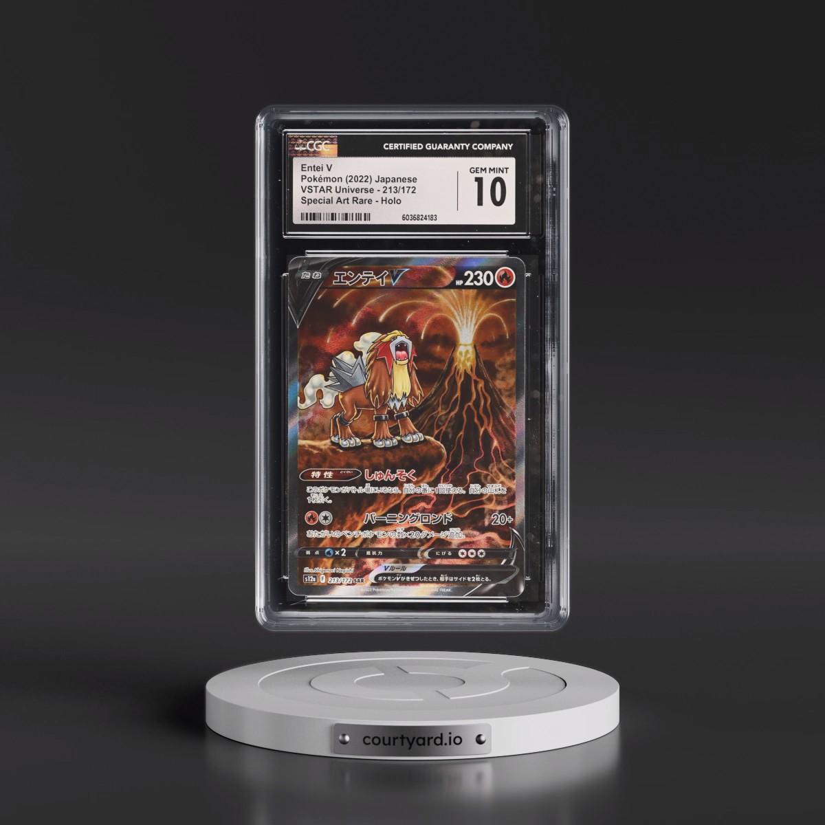 2022 VSTAR Universe #213/172 Entei V - Special Art Rare Holo (CGC 10 GEM MINT)