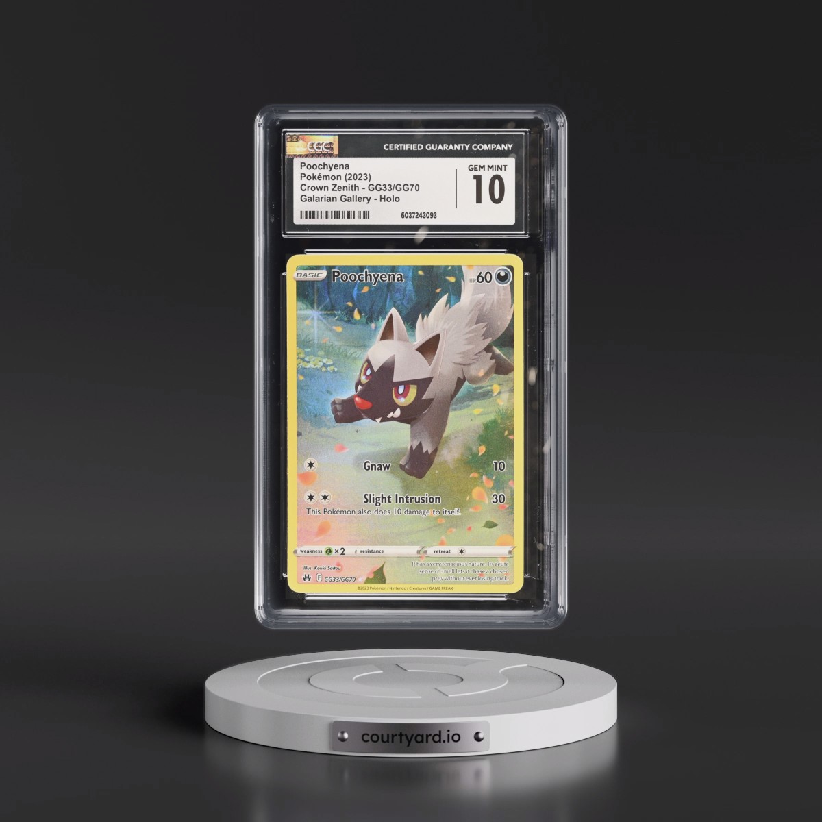 2023 Crown Zenith #GG33/GG70 Poochyena - Galarian Gallery Holo (CGC 10 GEM MINT)