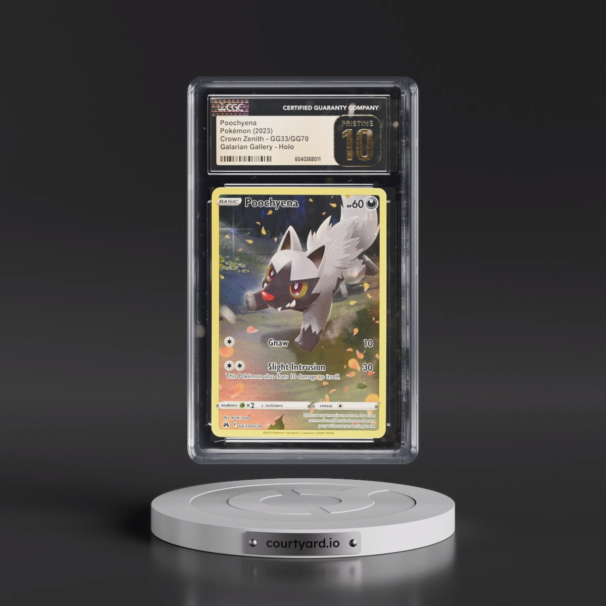 2023 Crown Zenith #GG33/GG70 Poochyena - Galarian Gallery Holo (CGC 10 PRISTINE)