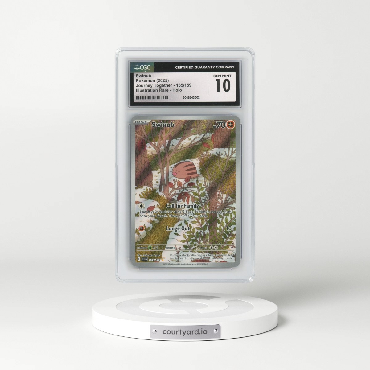 2025 Journey Together - JTG EN #165/159 Swinub - Illustration Rare Holo (CGC 10 GEM MINT)