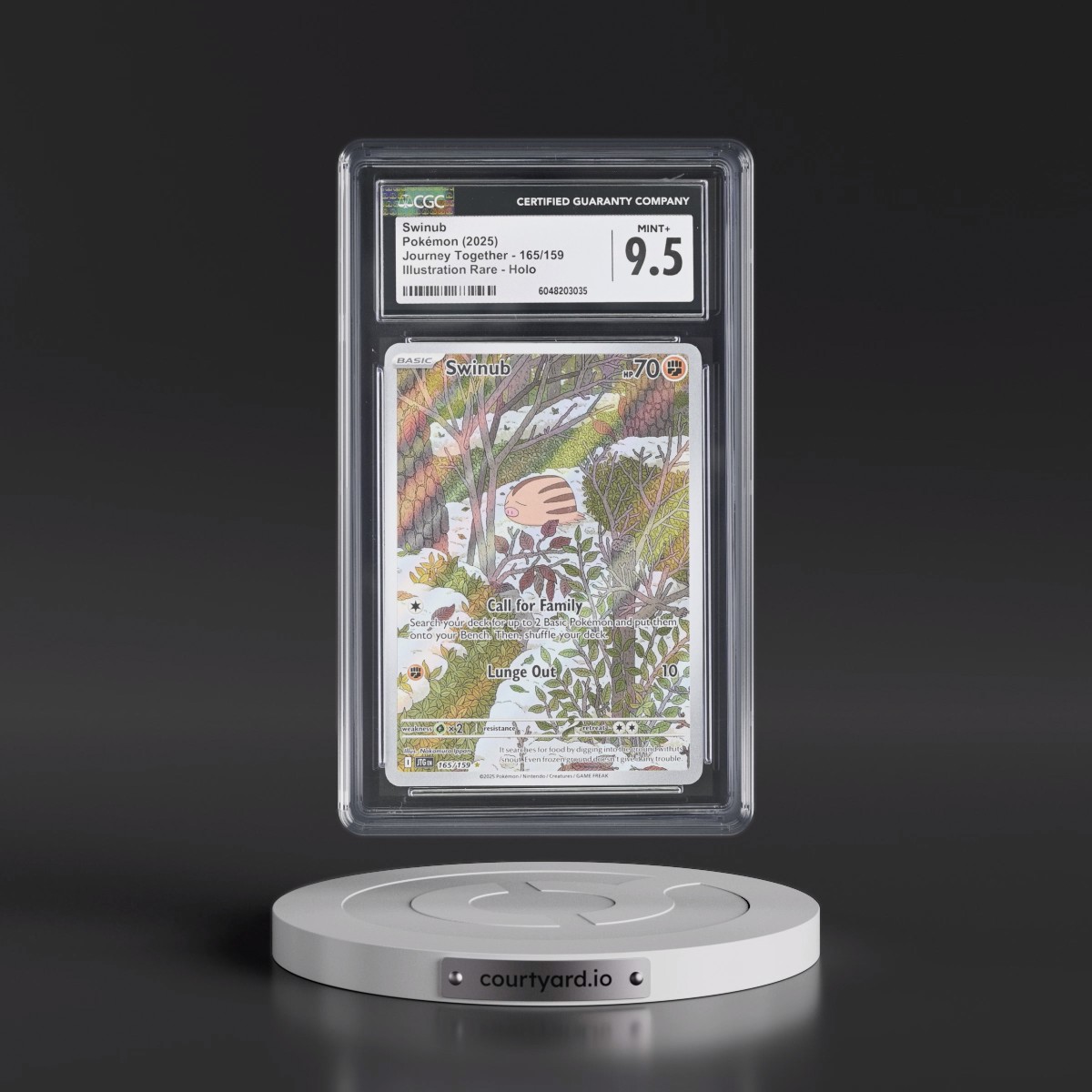 2025 Journey Together - JTG EN #165/159 Swinub - Illustration Rare Holo (CGC 9.5 MINT+)