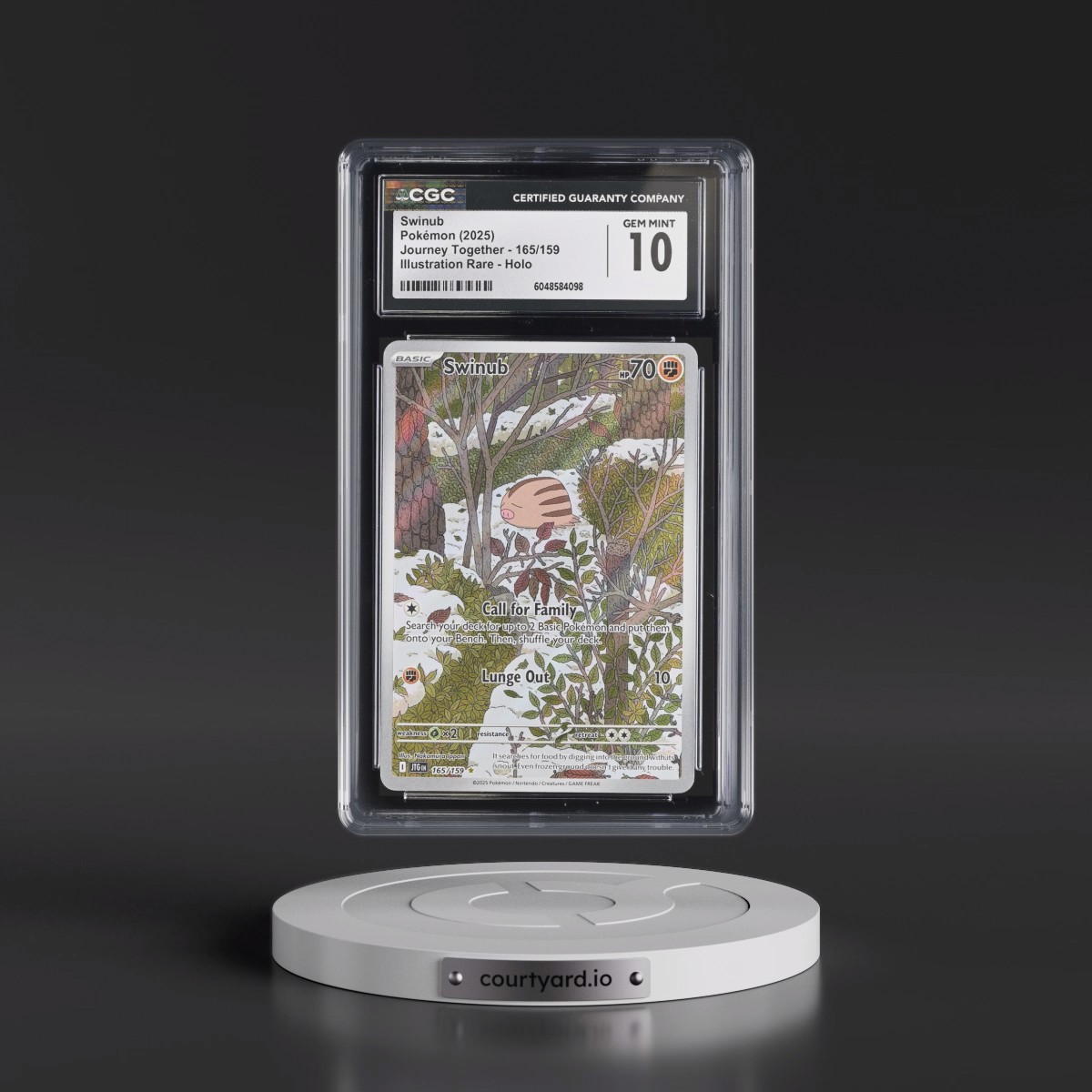 2024 Journey Together - JTG EN #165/159 Swinub - Illustration Rare Holo (CGC 10 GEM MINT)