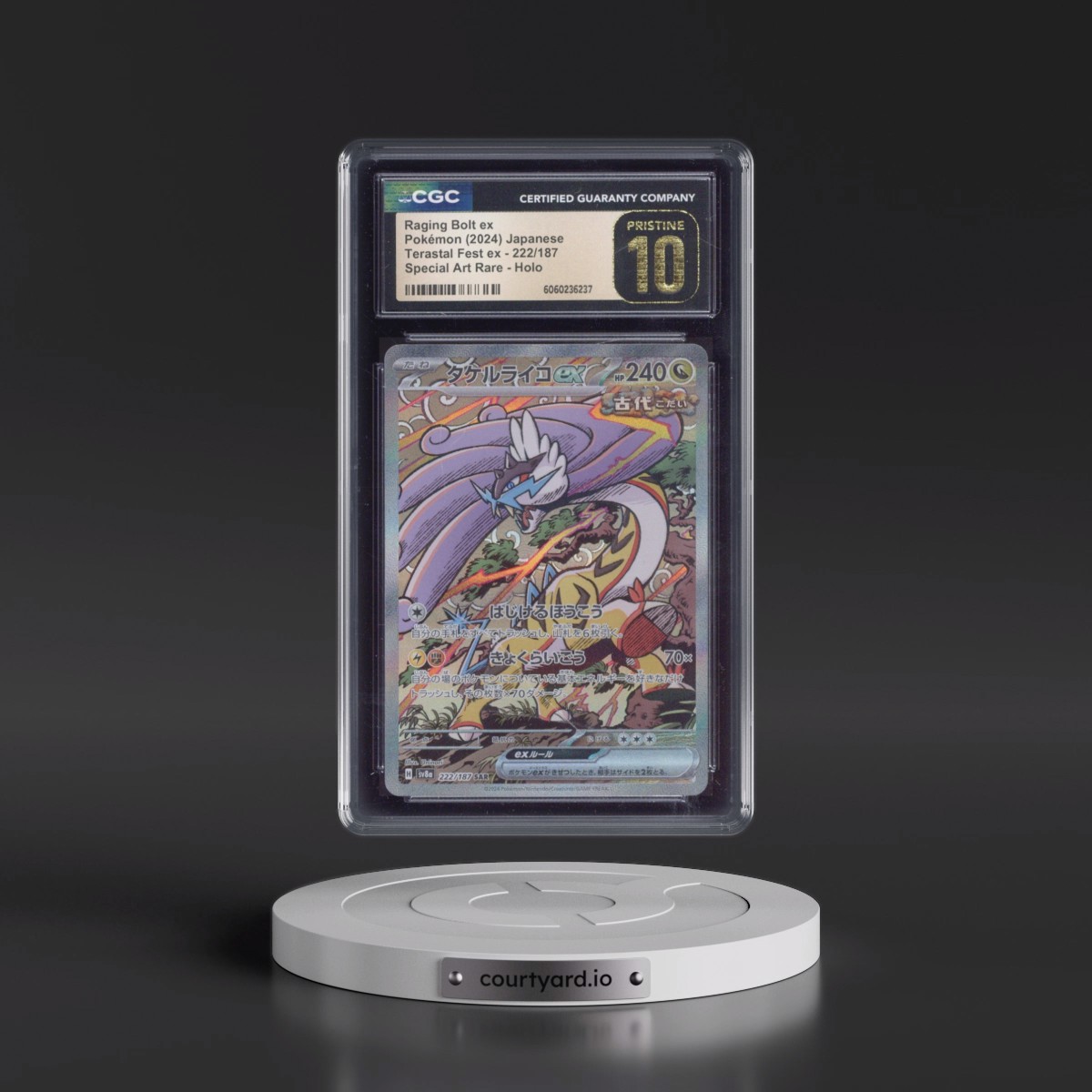 2024 High Class Pack: Terastal Fest ex - sv8a #222/187 Raging Bolt ex - Special Art Rare Holo (CGC 10 PRISTINE)