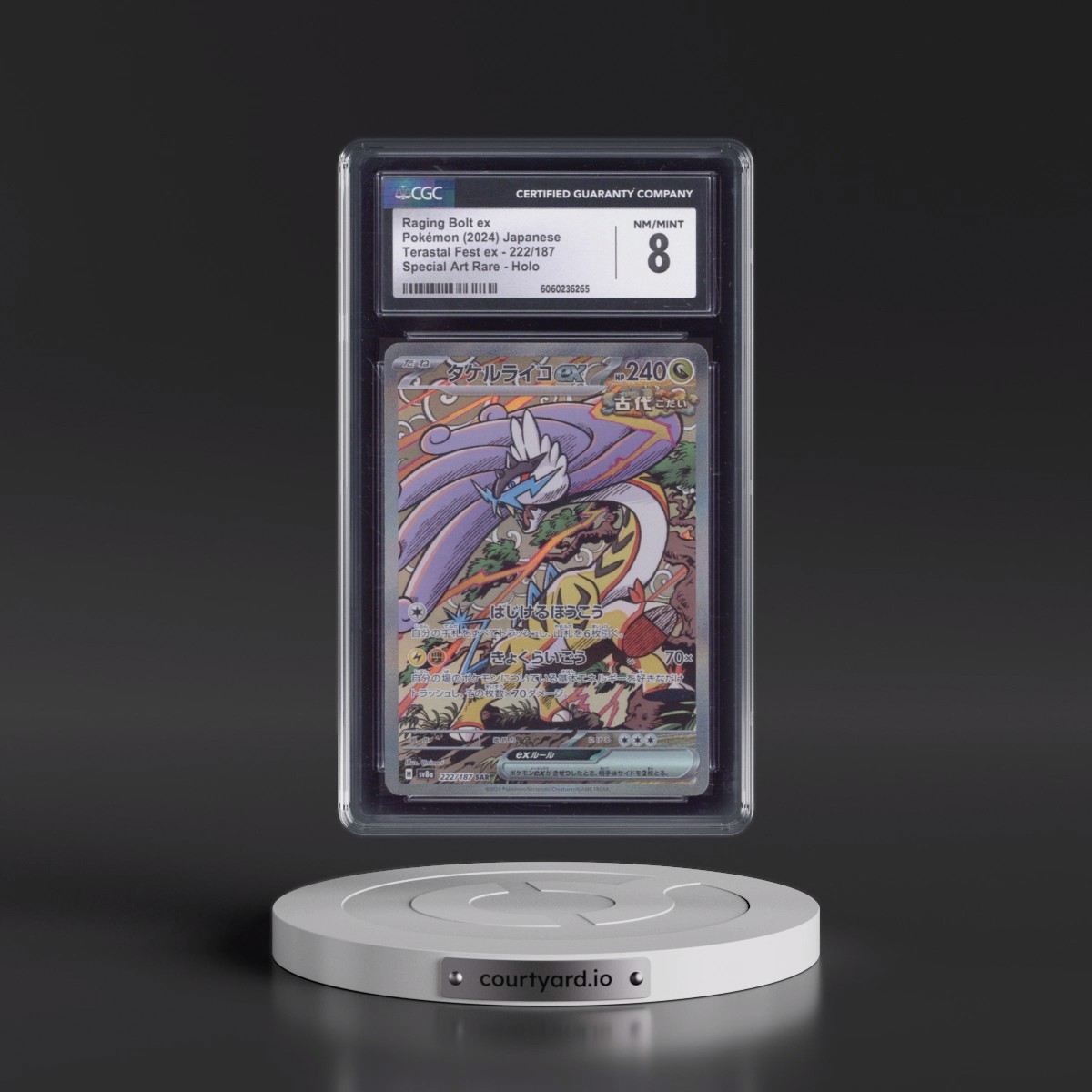 2024 High Class Pack: Terastal Fest ex - sv8a #222/187 Raging Bolt ex - Special Art Rare Holo (CGC 8 NM-MT)
