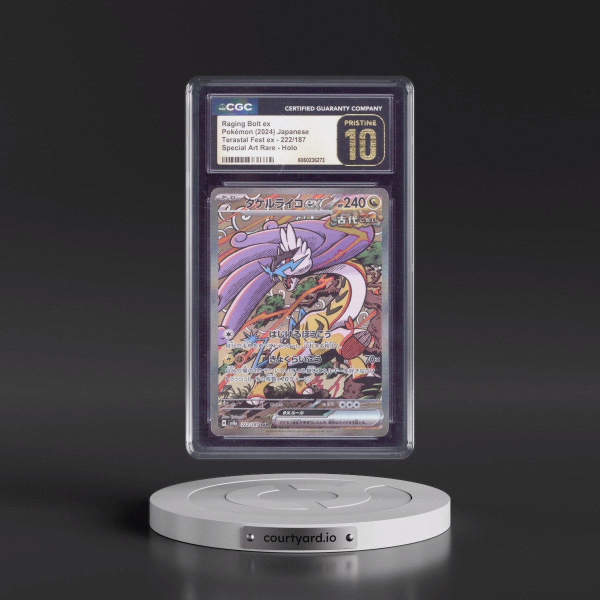 2024 High Class Pack: Terastal Fest ex - sv8a #222/187 Raging Bolt ex - Special Art Rare Holo (CGC 10 PRISTINE)