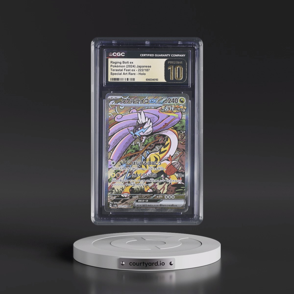 2024 High Class Pack: Terastal Fest ex - sv8a #222/187 Raging Bolt ex - Special Art Rare Holo (CGC 10 PRISTINE)