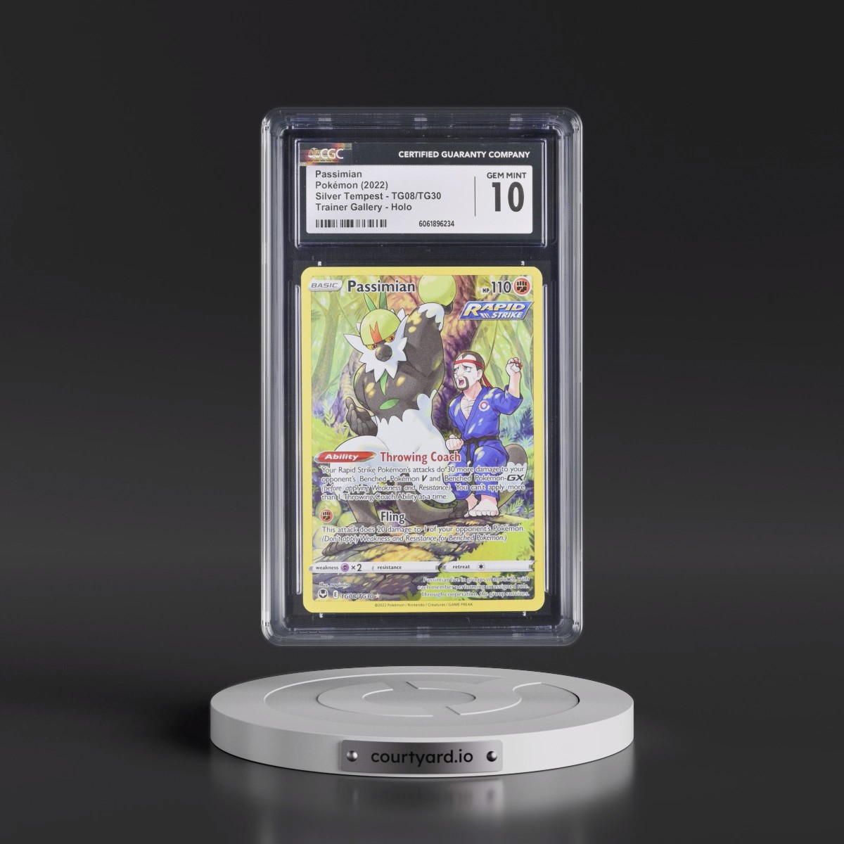2022 Silver Tempest #TG08/TG30 Passimian - Trainer Gallery Holo (CGC 10 GEM MINT)