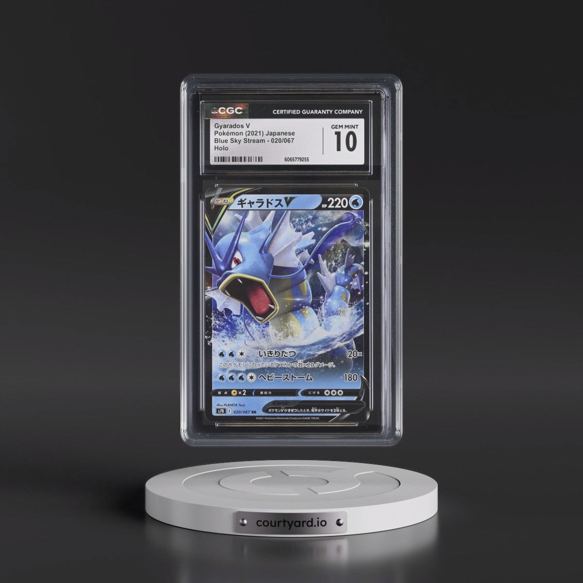 2021 Blue Sky Stream #020/067 Gyarados V - Holo (CGC 10 GEM MINT)