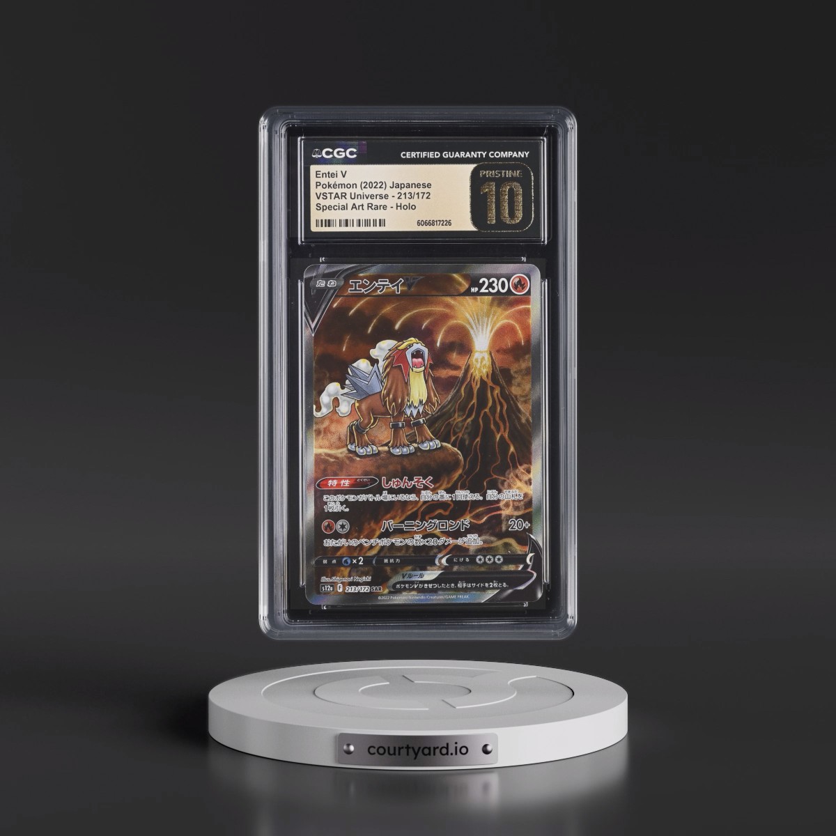 2022 VSTAR Universe #213/172 Entei V - Special Art Rare Holo (CGC 10 PRISTINE)