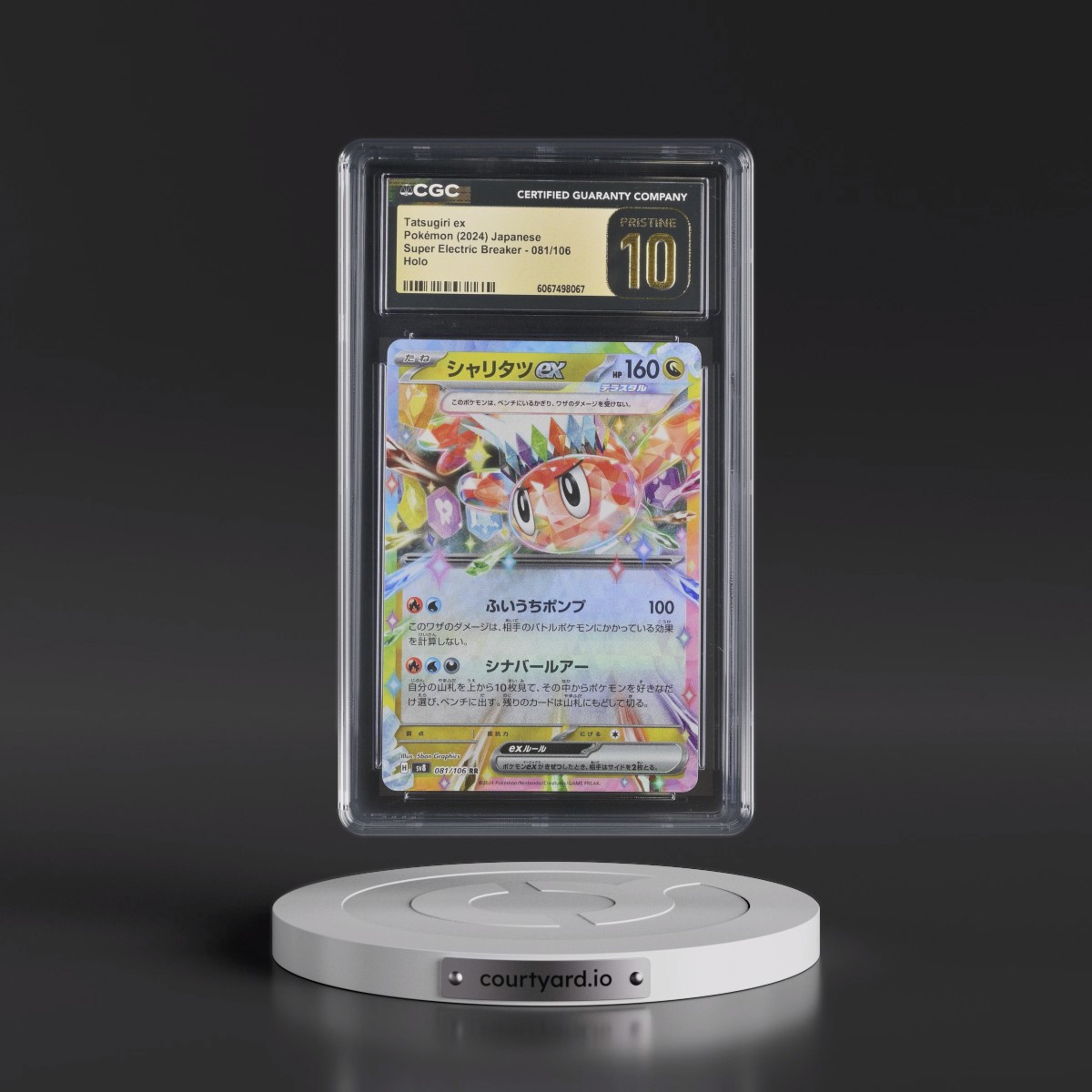 2024 Super Electric Breaker - sv8 #081/106 Tatsugiri ex - Holo (CGC 10 PRISTINE)