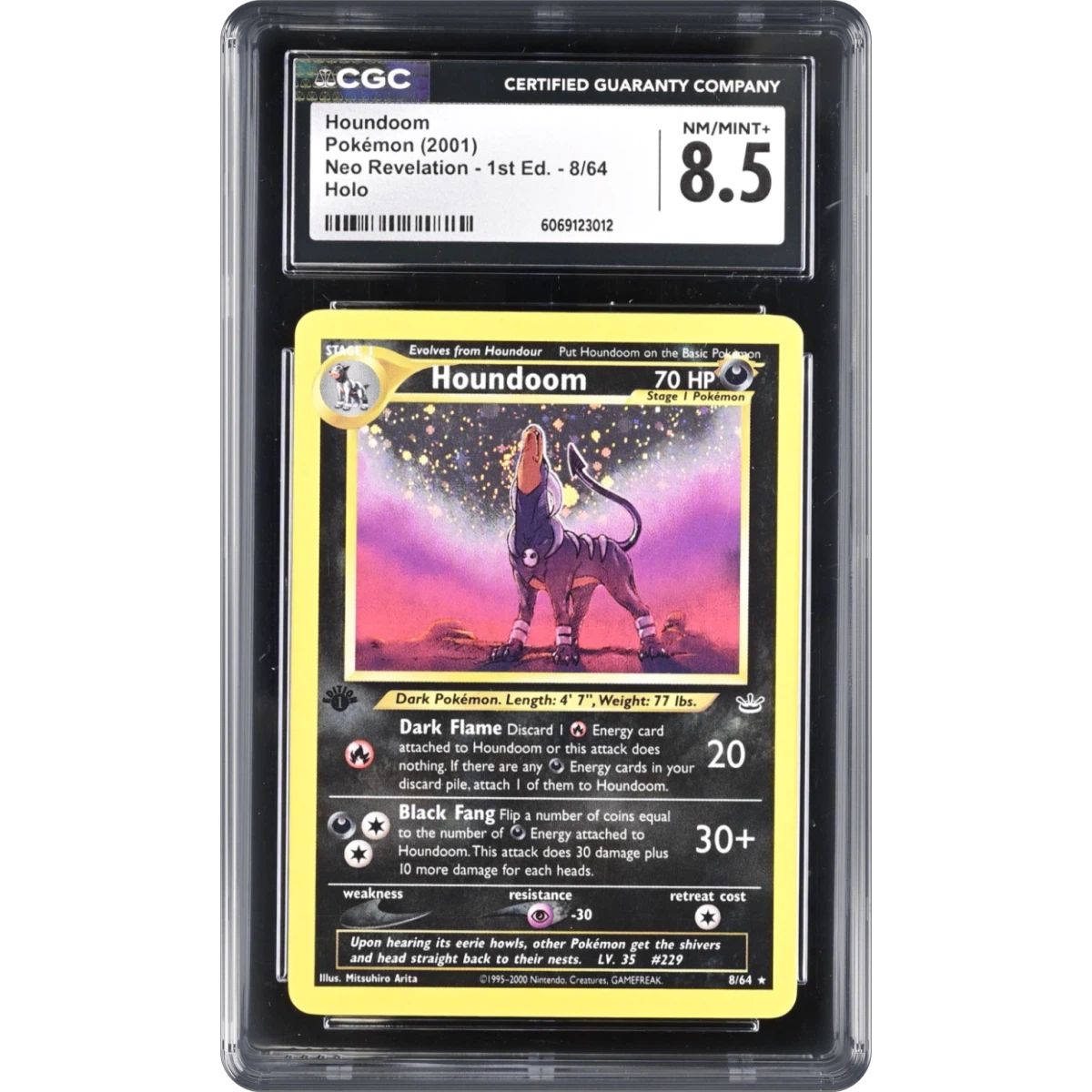 Houndoom card artwork