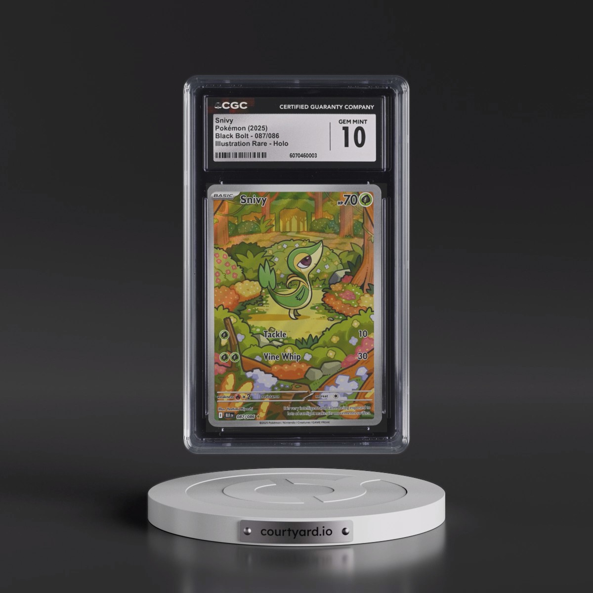 2025 Black Bolt - BLK EN #087/086 Snivy - Illustration Rare Holo (CGC 10 GEM MINT)