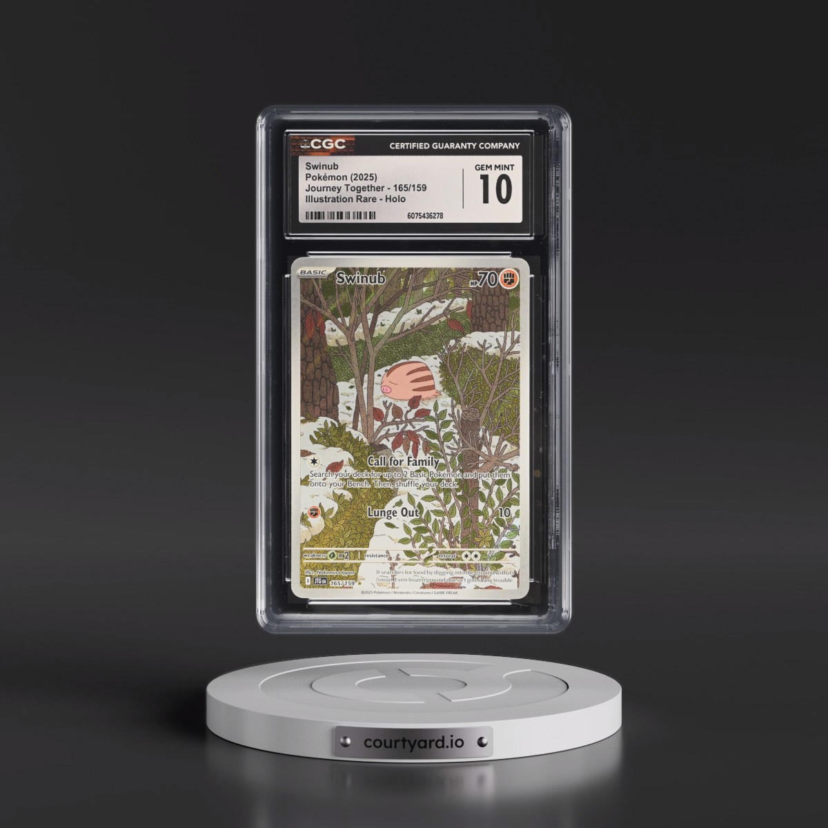 2025 Journey Together - JTG EN #165/159 Swinub - Illustration Rare Holo (CGC 10 GEM MINT)