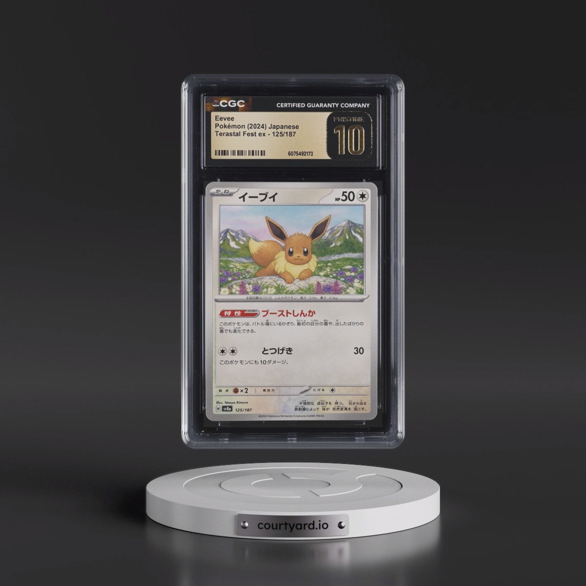 2024 High Class Pack: Terastal Fest ex - sv8a #125/187 Eevee (CGC 10 PRISTINE)