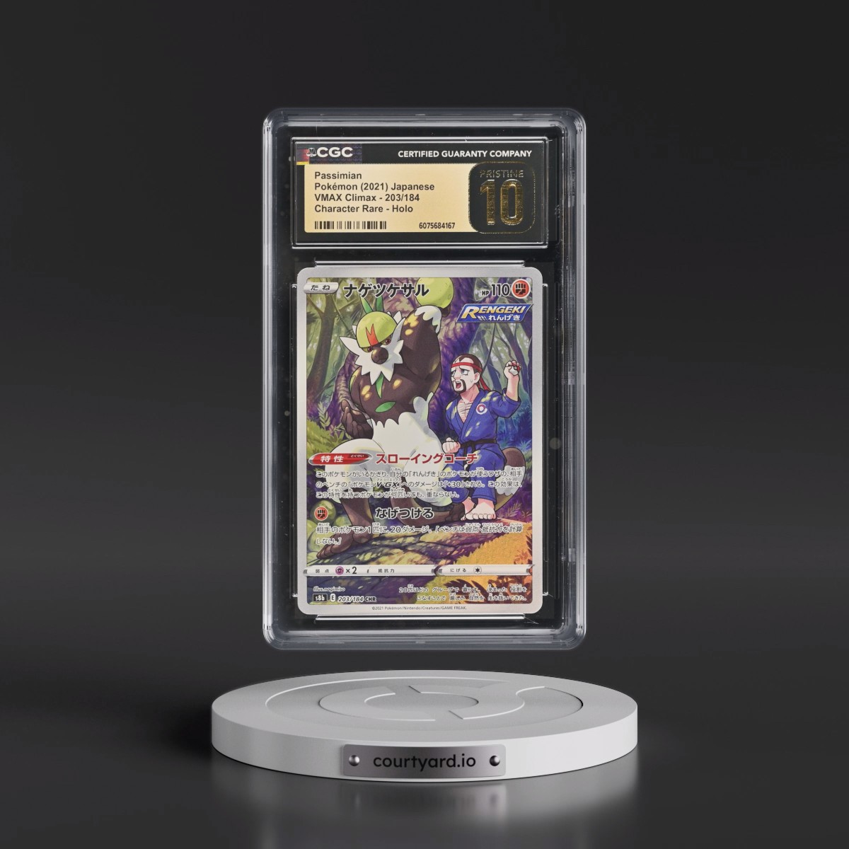2021 VMAX Climax #203/184 Passimian - Character Rare Holo (CGC 10 PRISTINE)
