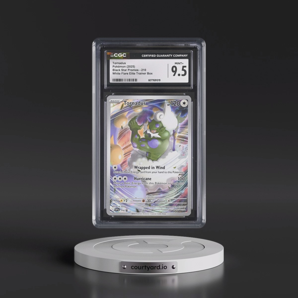 2023 Black Star Promos - Scarlet & Violet SVP EN #210 Tornadus - White Flare Elite Trainer Box (Holo) (CGC 9.5 MINT+)