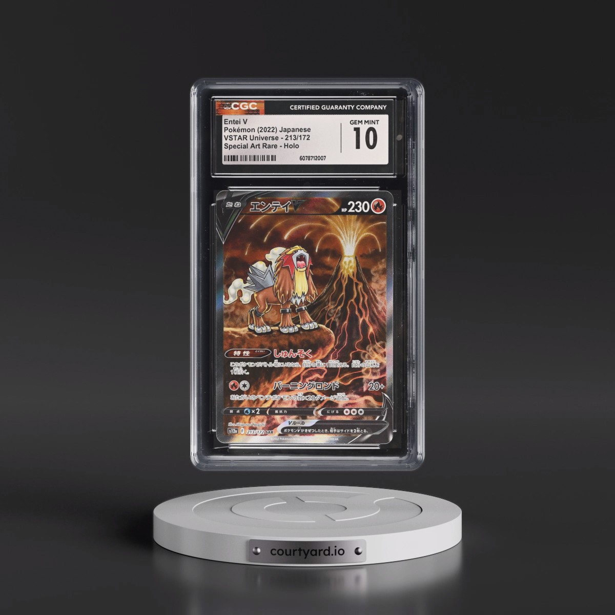 2022 VSTAR Universe #213/172 Entei V - Special Art Rare Holo (CGC 10 GEM MINT)