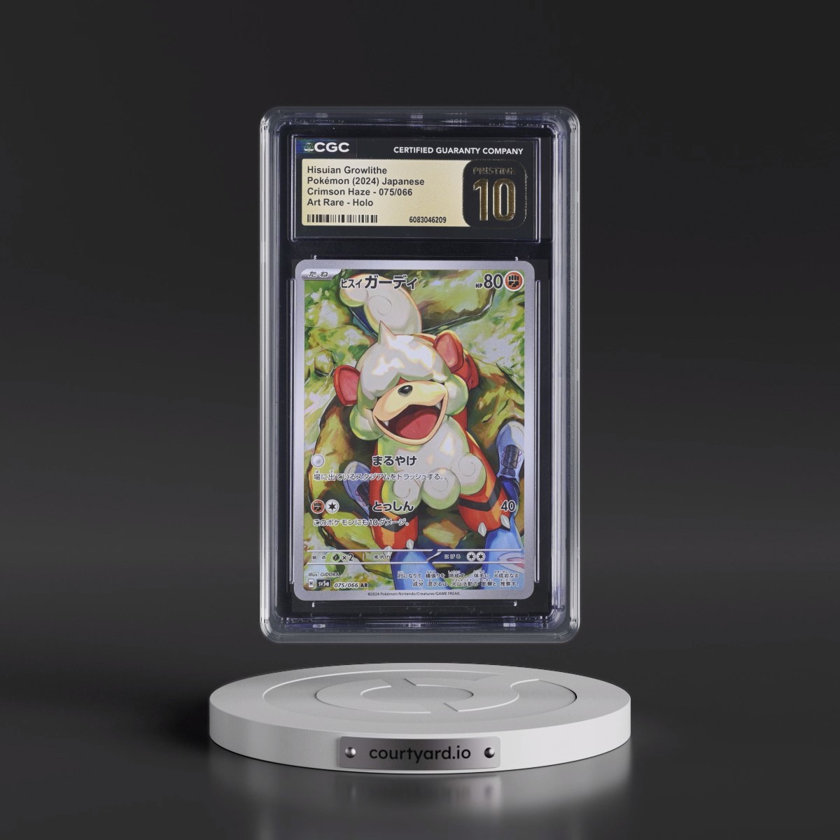2024 Crimson Haze #075/066 Hisuian Growlithe - Art Rare Holo (CGC 10 PRISTINE)
