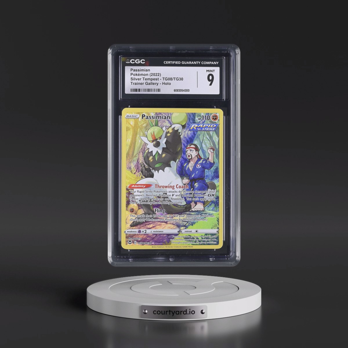 2022 Silver Tempest #TG08/TG30 Passimian - Trainer Gallery Holo (CGC 9 MINT)