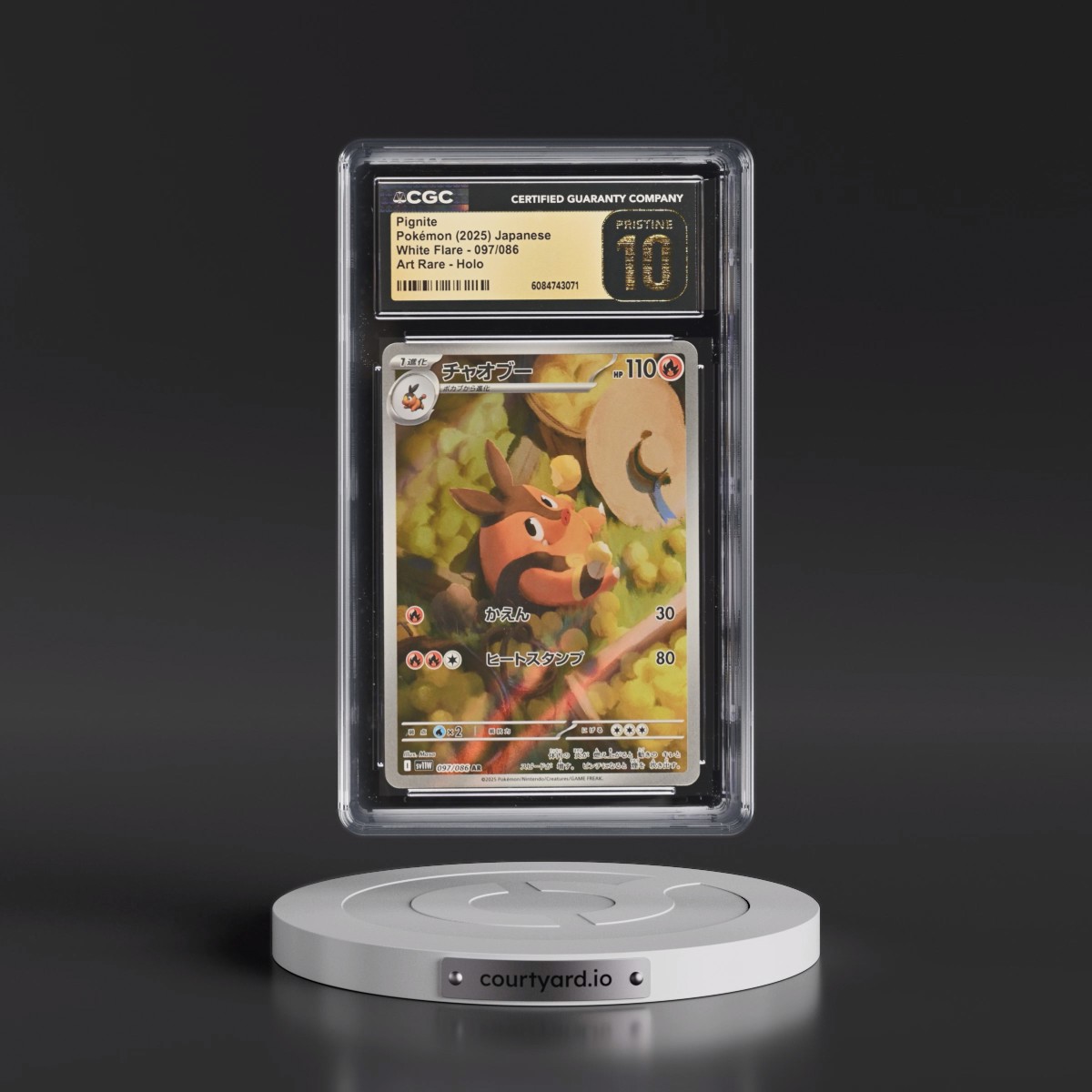 2025 White Flare - sv11W #097/086 Pignite - Art Rare Holo (CGC 10 PRISTINE)