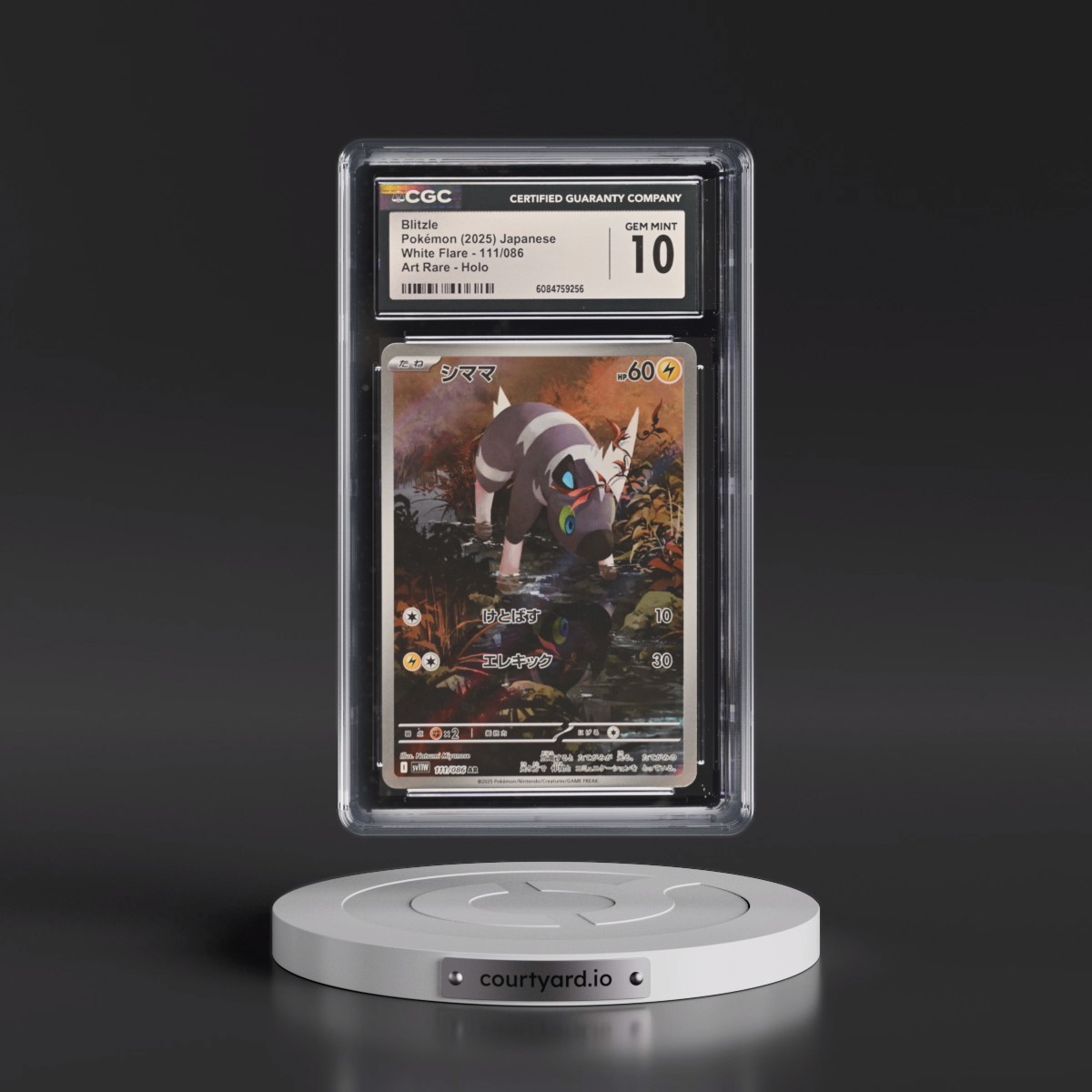 2025 White Flare - sv11W #111/086 Blitzle - Art Rare Holo (CGC 10 GEM MINT)